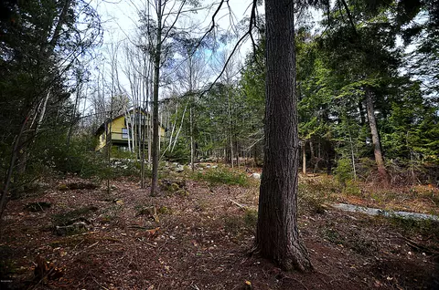 462 E Otis Rd, Tolland, MA 01034 photo 13