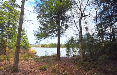 462 E Otis Rd, Tolland, MA 01034 photo 12