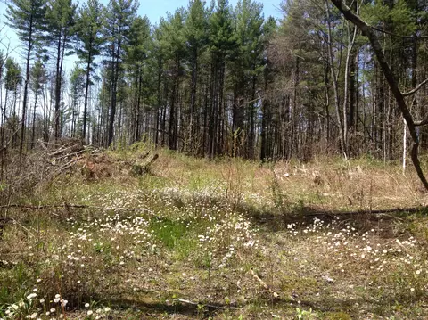 583 West Rd, Lee, MA 01238 photo 1