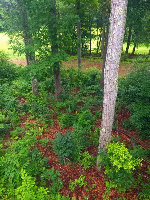 33 Pinnacle Rd, Otis, MA 01253 photo 28