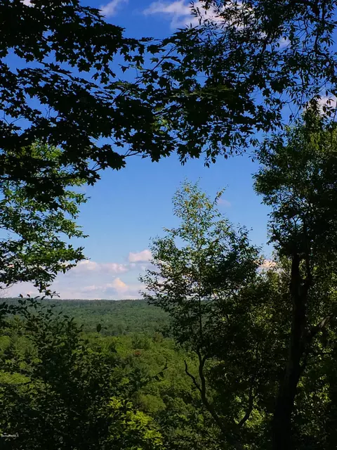 33 Pinnacle Rd, Otis, MA 01253 photo 21