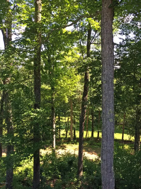 33 Pinnacle Rd, Otis, MA 01253 photo 33