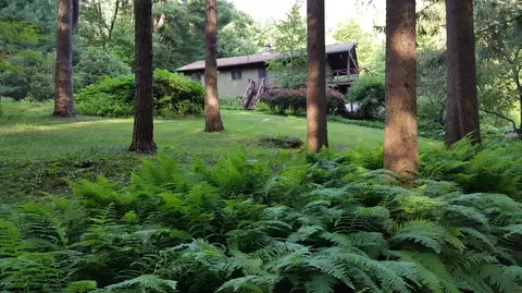 11424 Rt 22 --, Austerlitz, NY 12017 photo 6