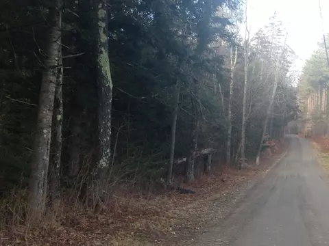 9 Haskell Rd, Peru, MA 01235 photo 3