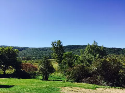 800 Tyringham Rd, Lee, MA 01238 photo 7