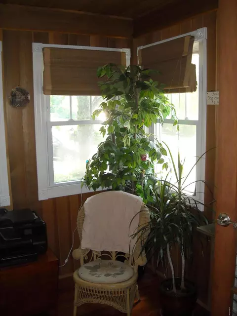49 Sunshine Ave, Lee, MA 01238 photo 14