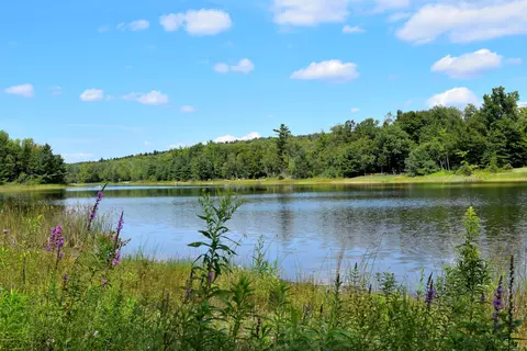 462 Long Bow Ln, Becket, MA 01223 photo 3