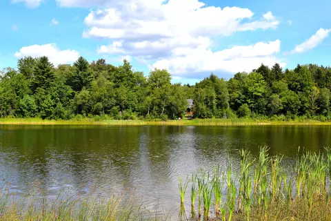 462 Long Bow Ln, Becket, MA 01223 photo 46
