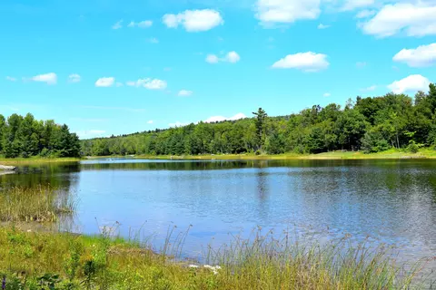 462 Long Bow Ln, Becket, MA 01223 photo 4