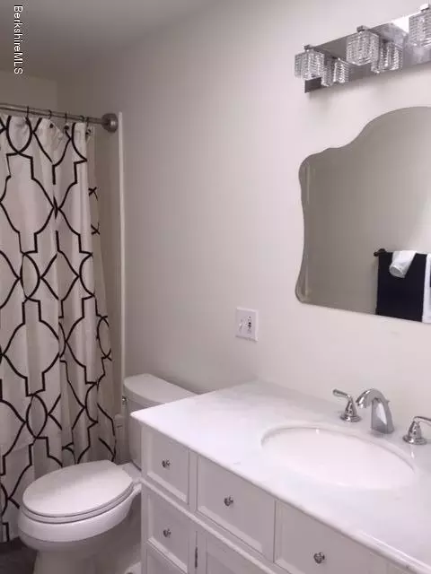 60 Parkview Ter, Lee, MA 01238 photo 29