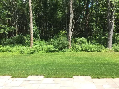355 S Undermountain Rd, Sheffield, MA 01257 photo 23