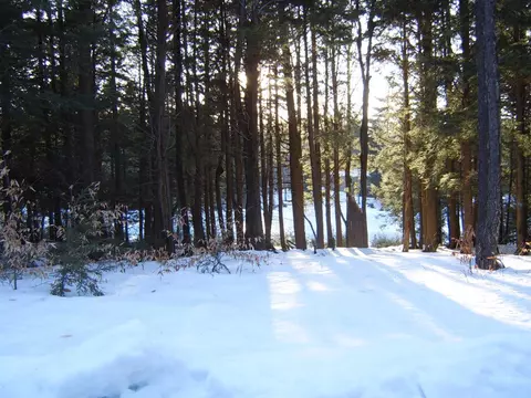 Trail Cir, Becket, MA 01223 photo 7