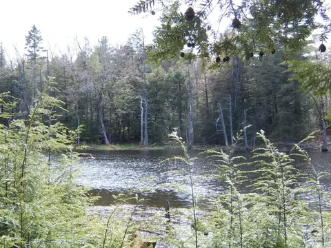 Trail Cir, Becket, MA 01223 photo 3