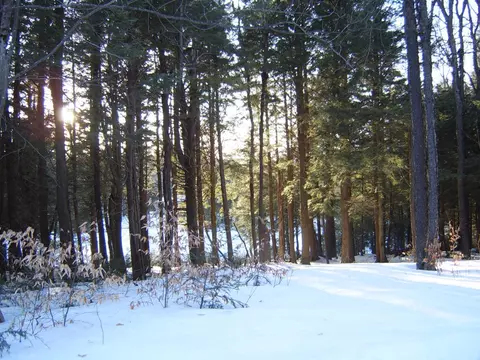 Trail Cir, Becket, MA 01223 photo 6