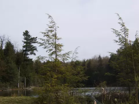 Trail Cir, Becket, MA 01223 photo 4