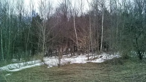 1042 Williamsburg Rd, Ashfield, MA 01330 photo 15