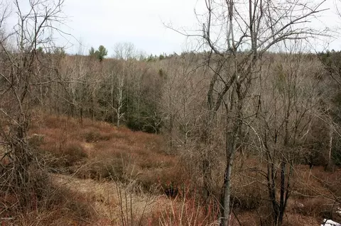 1042 Williamsburg Rd, Ashfield, MA 01330 photo 8