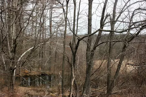 1042 Williamsburg Rd, Ashfield, MA 01330 photo 6