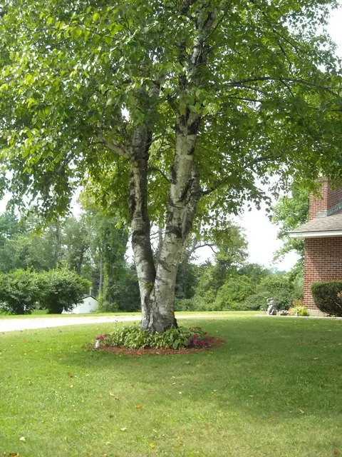 100 Parkview Ter, Lee, MA 01238 photo 9
