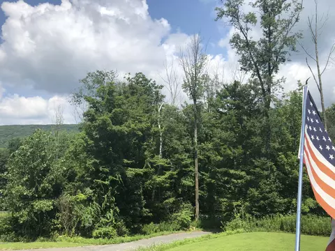 1000 Cape St, Lee, MA 01238 photo 48