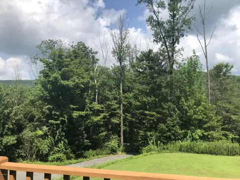 1000 Cape St, Lee, MA 01238 photo 47
