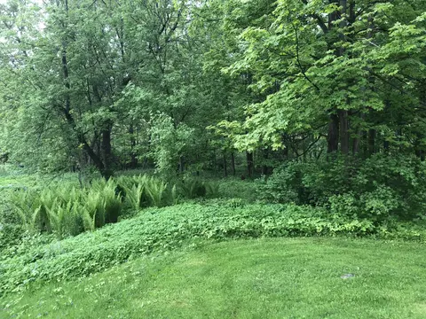 156 Summer St, Lee, MA 01238 photo 23