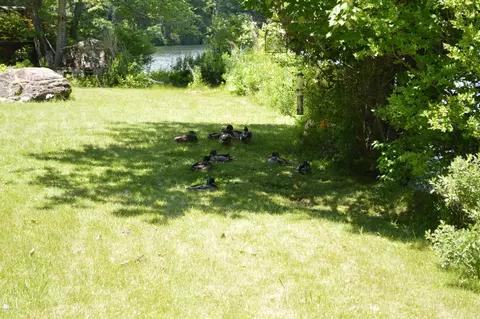 1381 E Otis Rd, Otis, MA 01253 photo 34