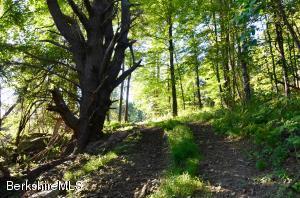 3 Main Rd, Tyringham, MA 01264 photo 15