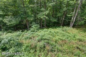 75 Cold Spring Rd, Williamstown, MA 01267 photo 33