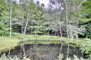 246 Mountain Rd, Adams, MA 01220 photo 45