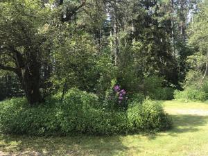 40 Humes Rd, Windsor, MA 01270 photo 6