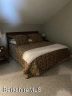 9221 Mountainside Dr, Hancock, MA 01237 photo 25