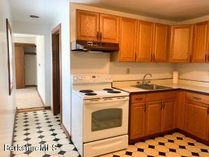 30 Danforth Ave, Pittsfield, MA 01201 photo 22