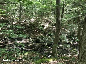 12 Brookside Rd, Peru, MA 01235 photo 3