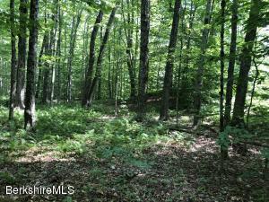 12 Brookside Rd, Peru, MA 01235 photo 5