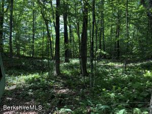 12 Brookside Rd, Peru, MA 01235 photo 4