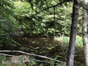 55 E Windsor Rd, Peru, MA 01235 photo 6