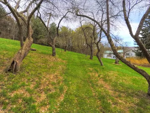 207 Main Rd, Tyringham, MA 01264 photo 34