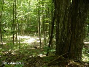 lot3 Old Orebed Rd, Lanesborough, MA 01237