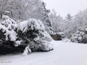 1095 North St, Windsor, MA 01270 photo 14