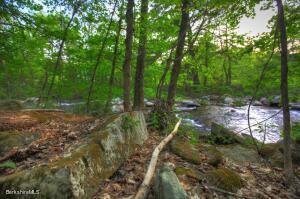 5 S Beech Plain Rd, Sandisfield, MA 01255 photo 24