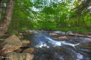 5 S Beech Plain Rd, Sandisfield, MA 01255 photo 2