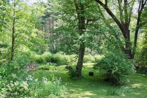 190 Summer St, Lee, MA 01238 photo 5