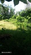 65 Chestnut St, Lee, MA 01238 photo 4