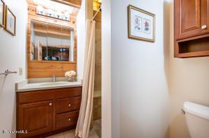 33 Main Rd, Tyringham, MA 01264 photo 30