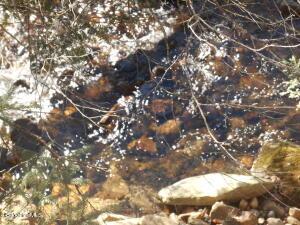 1742 E Windsor Rd, Windsor, MA 01270 photo 21