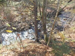 1742 E Windsor Rd, Windsor, MA 01270 photo 23