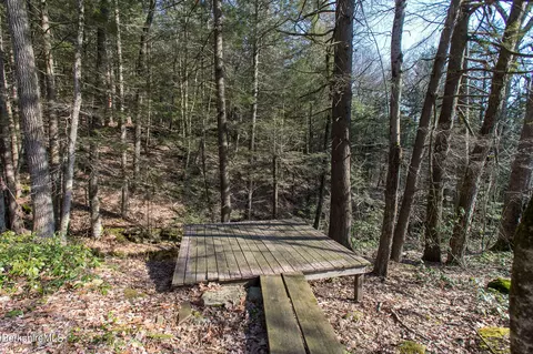 21 Webster Rd, Tyringham, MA 01264 photo 35