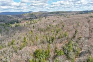 73 Goose Pond Rd, Tyringham, MA 01264 photo 10