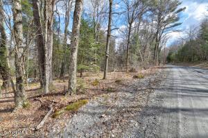 73 Goose Pond Rd, Tyringham, MA 01264 photo 2